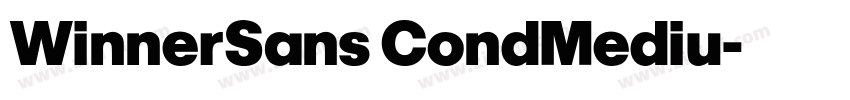 WinnerSans CondMediu字体转换